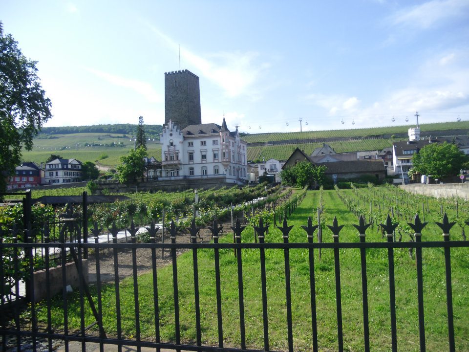 Day 1: Arrival in Germany